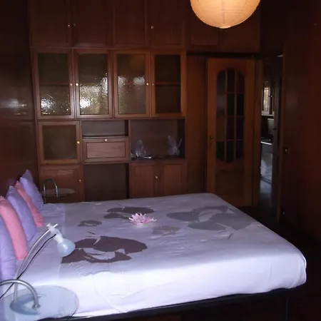 Apartment Gonzaga *